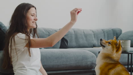 Linda-Chica-Acariciando-Y-Alimentando-A-Su-Perro-En-Casa