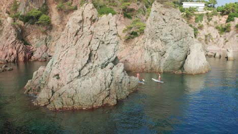 Mujeres-En-Forma-Flotando-En-Una-Tabla-De-Remo-En-El-Mar