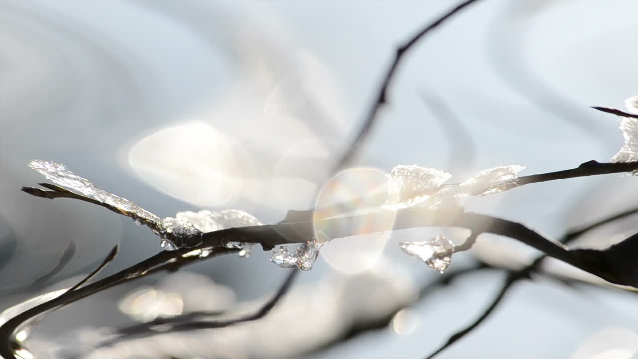 樹氷。太陽と霜。