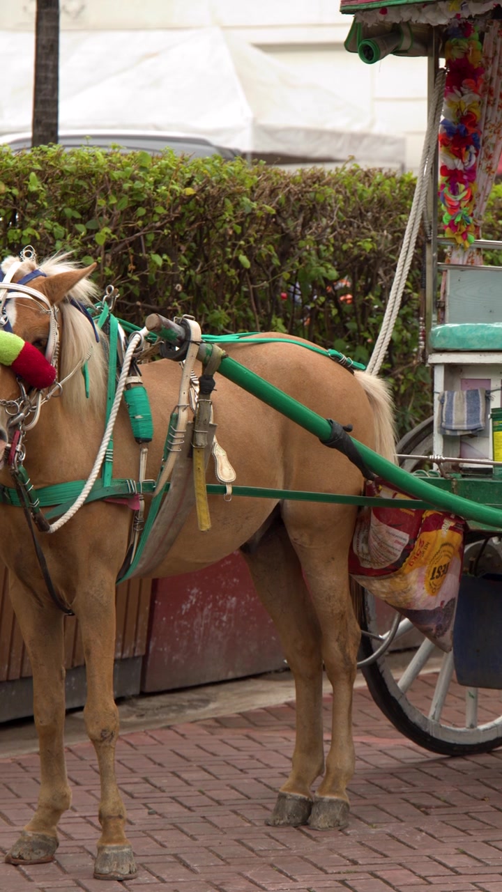 Una carrozza kalesa trainata da cavalli ferma su un sentiero di mattoni nella storica Intramuros, Manila.