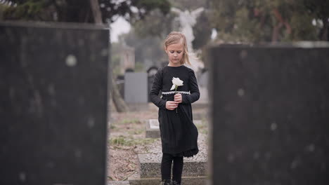 flower, death or kid in cemetery for funeral