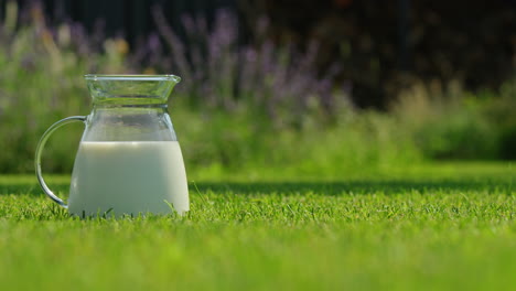 glass pitcher of milk in a garden