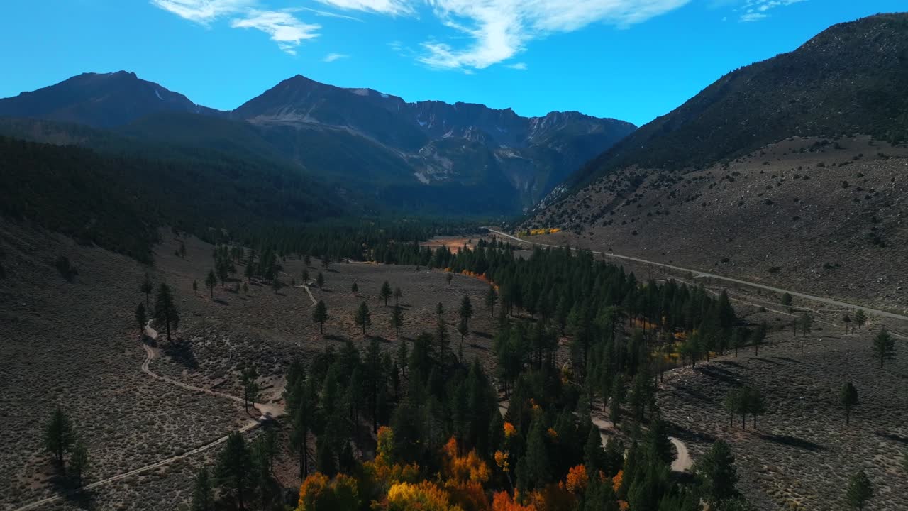 West Portal Entrance Lee Vining Tioga Pass Road Yosemite National Park California aerial drone Ansel Adams Wilderness Big Oak Flat fall autumn yellow orange Aspen Trees blue skies forward motion