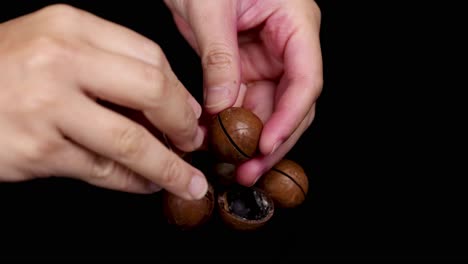 Hands cracking macadamia nuts with a tool