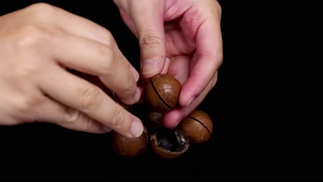 manos rompiendo nueces de macadamia con una herramienta