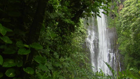 a tropical waterfall flows through a dense rainforest in hawaii 6