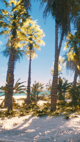 tropical beach with palm trees