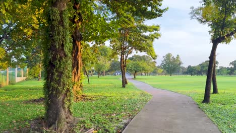 serene pathway through lush green park scenery