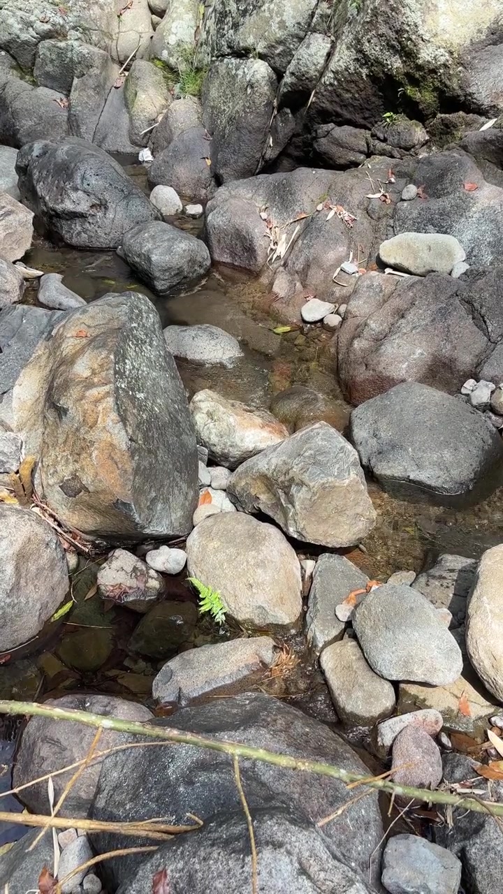Acqua cristallina che scorre sulle rocce in un ruscello naturale.