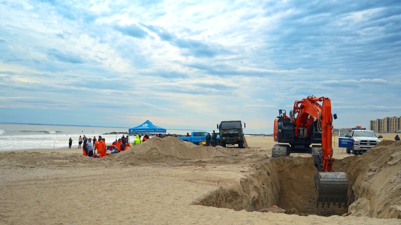 New York, USA, 1 aprile 2026: Escavatore e scienziati si preparano per la sepoltura di una balena sulla spiaggia. Ampia inquadratura di un escavatore, una grande fossa e una tenda di un team di conservazione su una spiaggia sabbiosa costiera.