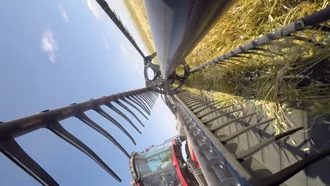 perspectiva pov: cosechadora agrícola giratoria, circular y oscilante ocupada cosechando trigo marrón, concepto de mareo, caída, primer plano