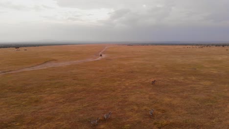 Un-Juego-De-Conducción-safari-A-Través-De-Ol-Pejeta,-Kenia