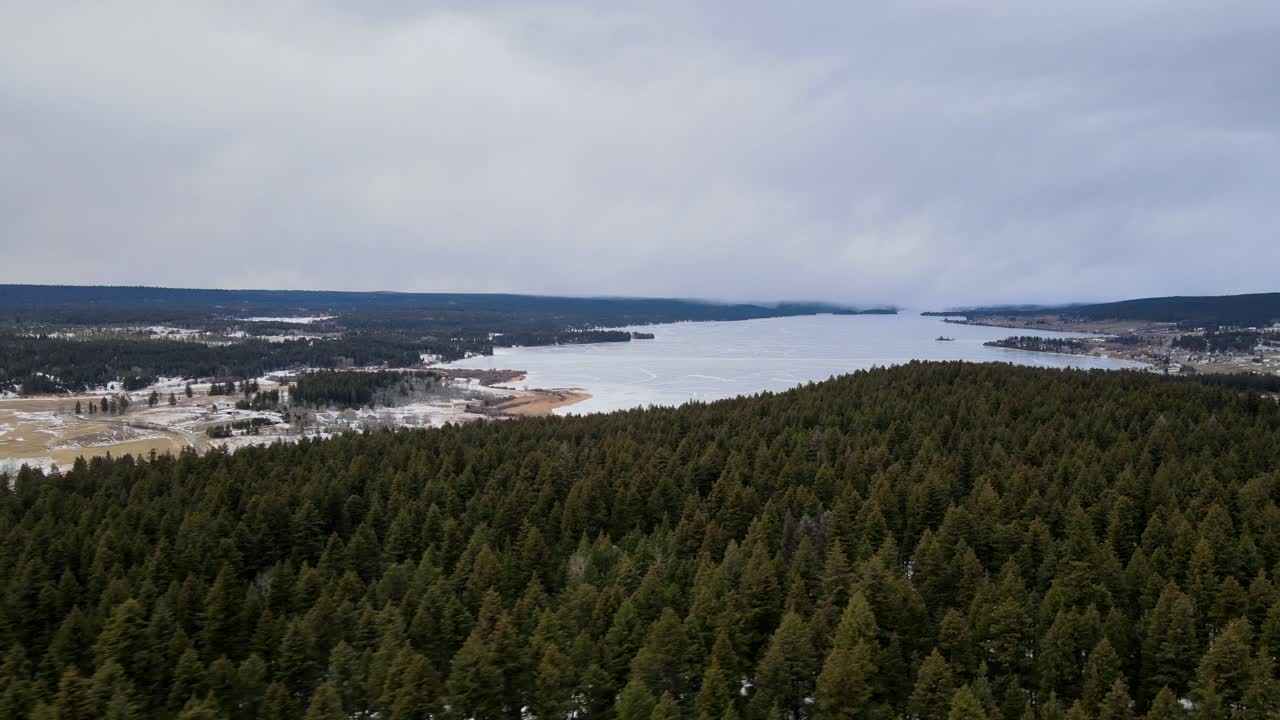 카리부의 겨울 위엄:캐나다 브리티시 컬럼비아에 있는 침엽수 숲과 얼어붙은 락 라 아슈 호수의 조감도