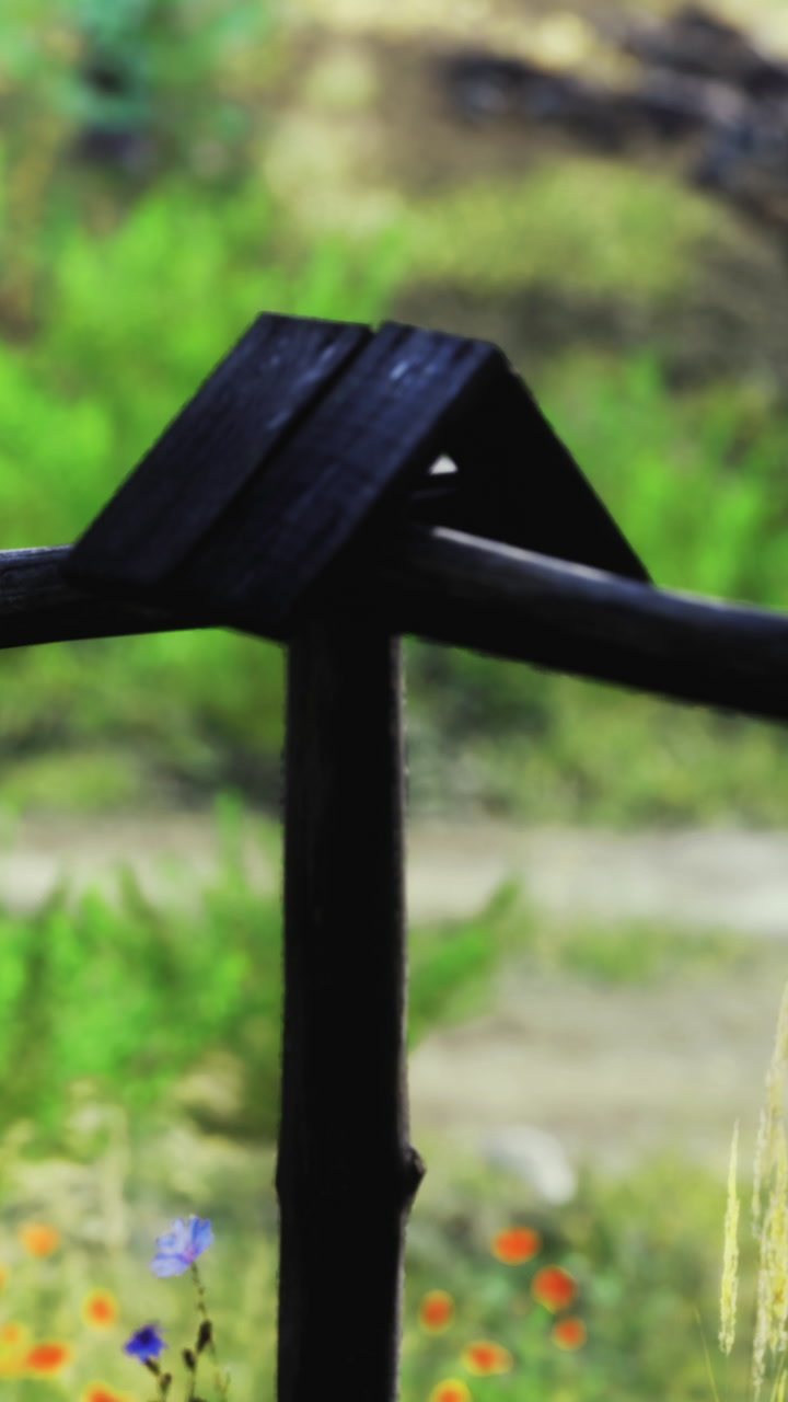 Exploring natures beauty with a close view of a simple garden tool