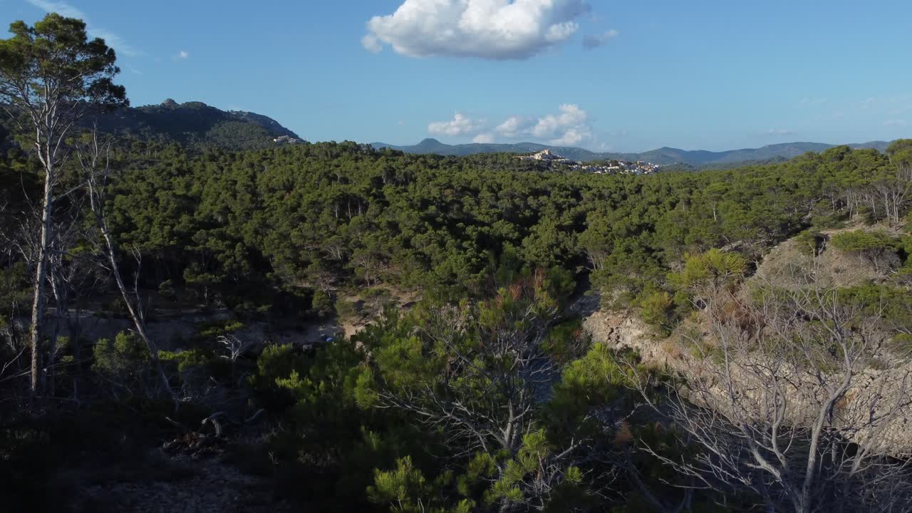 hermosa vista filmada en 4k por un dron que se eleva sobre el bosque y la cala escondida en mallorca españa hasta que una ciudad aparece a la vista