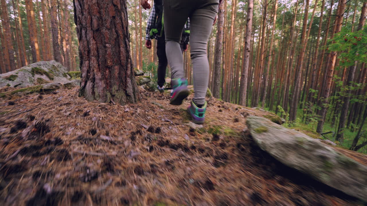 excursionistas en el bosque