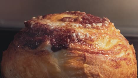 timelapse - homemade cinnamon bun baking and rising in electric oven: close up