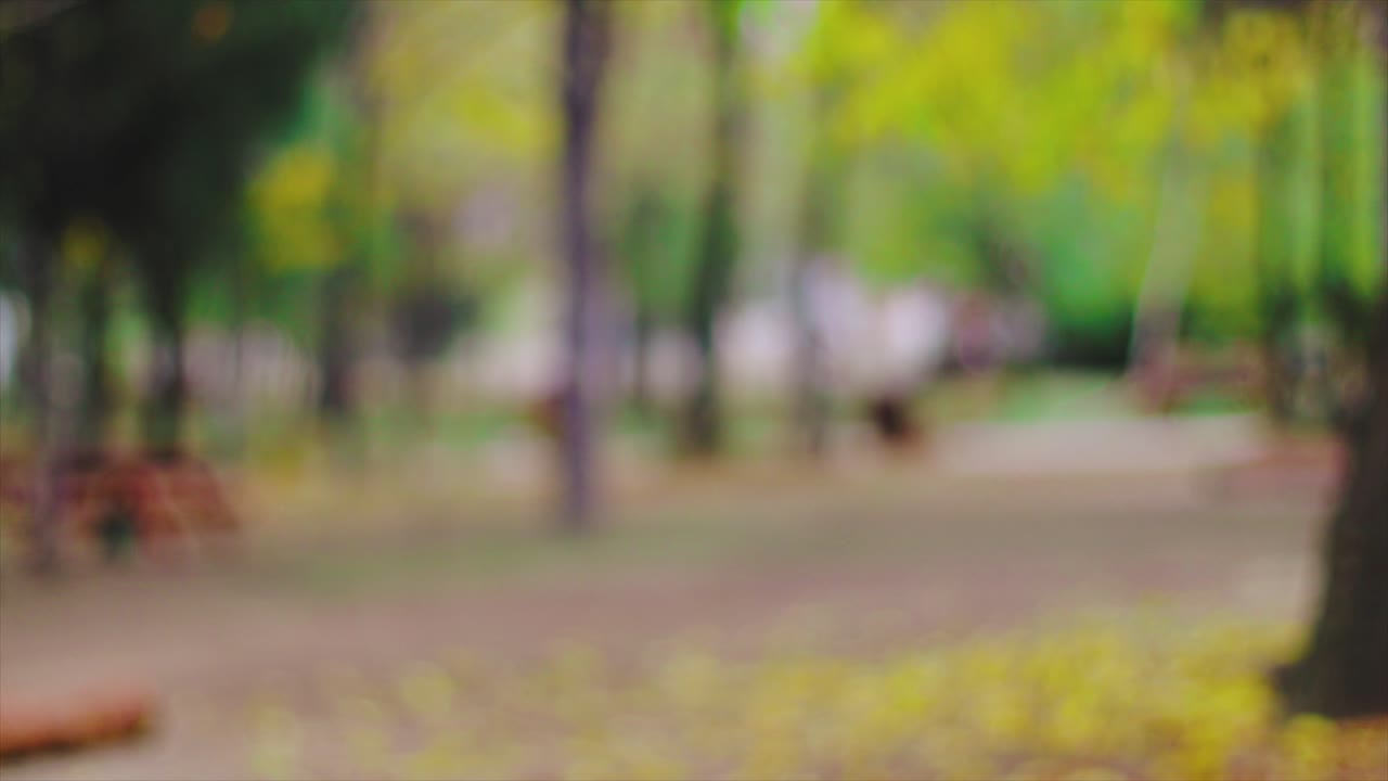 cámara de fotos cayendo