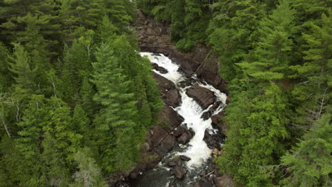 rising aerial over oxtongue falls green trees river flowing algonquin park day