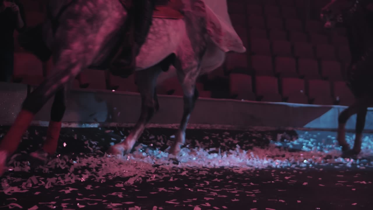 jinetes en hermosos caballos de pura sangre corren alrededor de la arena del circo bajo los reflectores, confeti revoloteante, cámara lenta, primer plano.