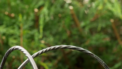 Eine-Blaumeise-Fliegt-In-Schuss-Und-Landet-Auf-Einer-Eisenstange,-Die-Teil-Eines-Stehenden-Vogelhäuschens-Ist