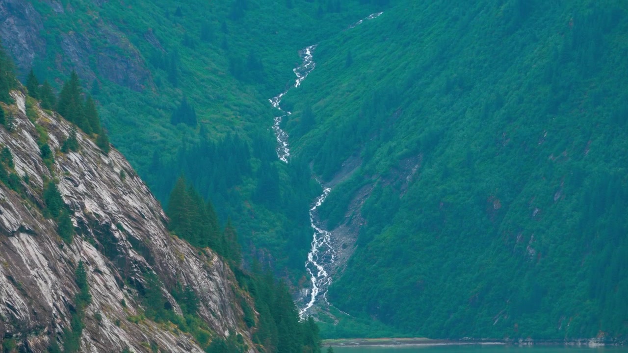 Una stretta cascata bianca si snoda lungo una lussureggiante valle di montagna verde in una calma insenatura glaciale color verde acqua, delimitata da pareti rocciose boscose, Alaska, Canada.