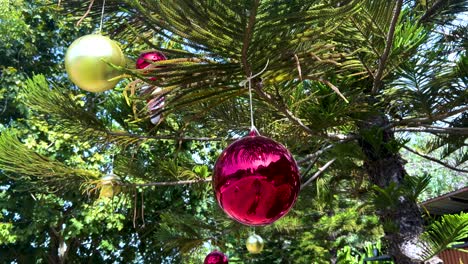 decorative balls hanging on a tree branch