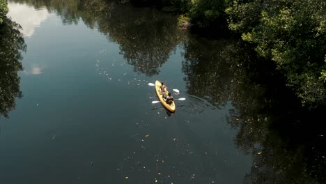 couple in kayak in mangrove swamp at el paredon, guatemala - aerial drone shot