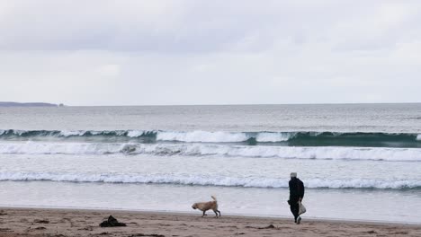 a serene beach walk with a dog