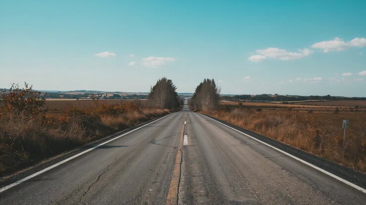 Ripresa con carrello che si muove lungo una strada rurale, rivelando l'asfalto crepato e due alberi che fanno da dettaglio alla strada