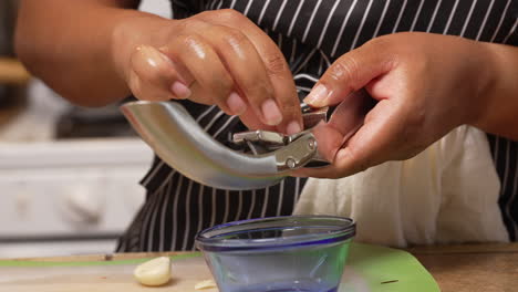 squeezing cloves of garlic in a press for a special homemade dish - isolated slow motion