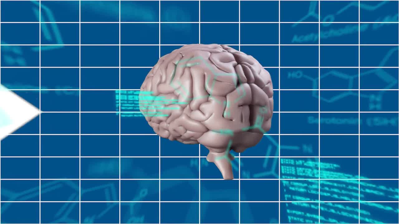 cerebro humano con flechas