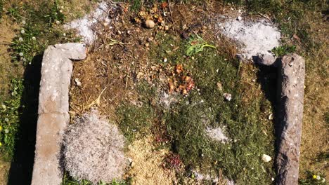 decomposing natural waste in a compost pile outdoors