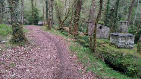 Paseo-Herboso-Bajo-Un-Robledal-Con-Las-Cabañas-De-Montaña-En-La-Ruta-De-Senderismo-Junto-Al-Río-Sor-En-Primavera-En-Un-Día-Brillante