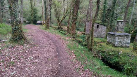 paseo herboso bajo un robledal con las cabañas de montaña en la ruta de senderismo junto al río sor en primavera en un día brillante