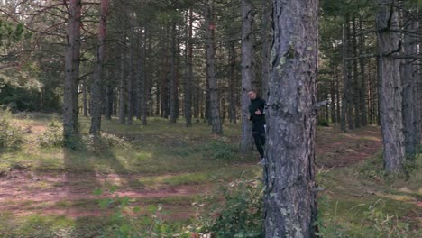 Läufer,-Der-Durch-Einen-Wald-Mit-Hohen-Bäumen-Läuft