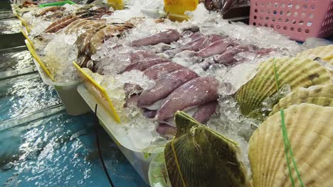 fresh seafood display at market