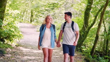 slow motion shot of young couple hiking along woodland path in lake district uk together