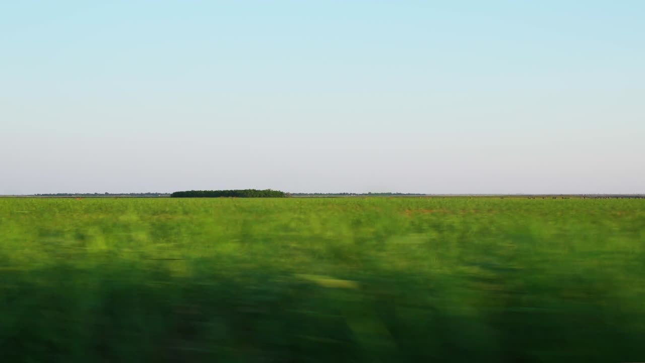 루마니아 갈라티의 아름다운 무성한 녹색 들판을 지나가는 시골길을 운전하다