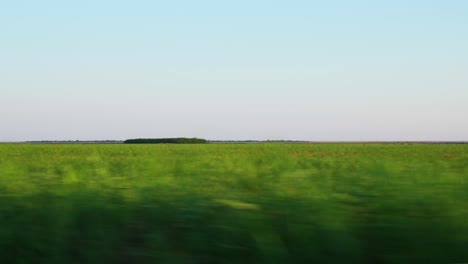 driving on a country road passing by beautiful lush green fields in galati, romania