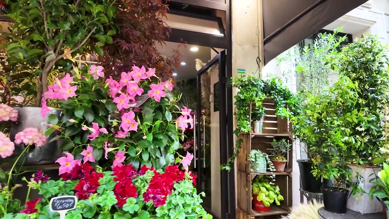 Fiori primaverili luminosi fiancheggiano l'ingresso di un caffè all'aperto durante una fluida panoramica orizzontale della telecamera