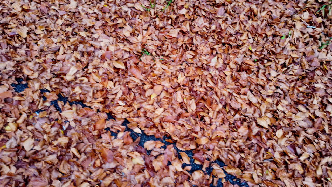 Pile of fallen leaves in autumn, creating an earthy, cozy mood