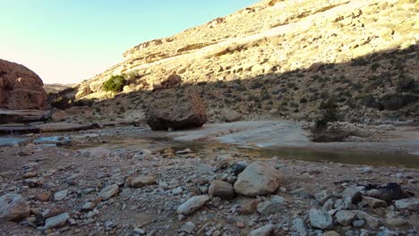 a river in the middle of the sahara desert algeria biskra