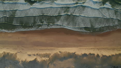 Landscape-Wide-View-of-Beautiful-Beach-with-Dunes-and-Waves-Crashing-in-white-foam,-Aerial-Overhead-Top-down-Birds-Eye-View,-slow-sideways