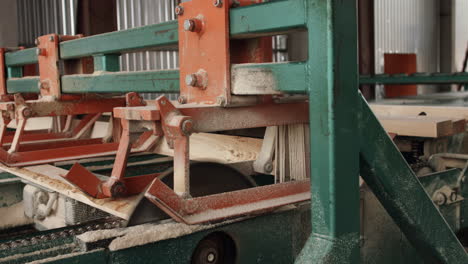 conveyor line for wood processing. sawing wood on boards on sawmill