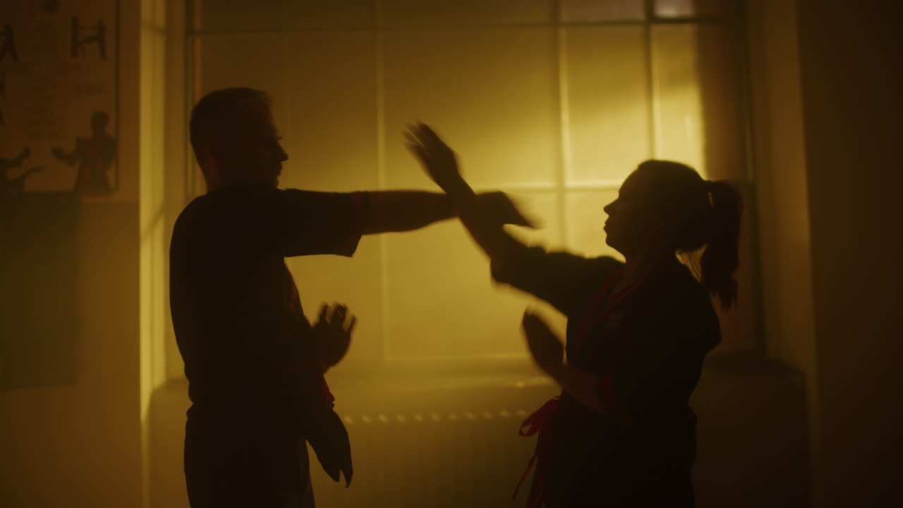 Martial Arts Training Session