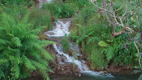 waterfalls along the mountains flow naturally around the green area