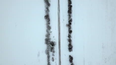 aerial footage of an empty, snow covered road between birch alley - top down view on cloudy winter day