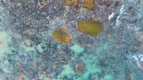 aerial footage captures waves crashing over rocky formations in ocean grove, victoria, with vibrant turquoise waters and natural textures