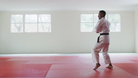 karateka walking and kicking in the air